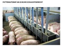 Schnell-Stalll&uuml;ftungenS-22 Tockenfutter mit gleichzeitigem separatem_ ab 25 kg bis Schlachtgewicht 